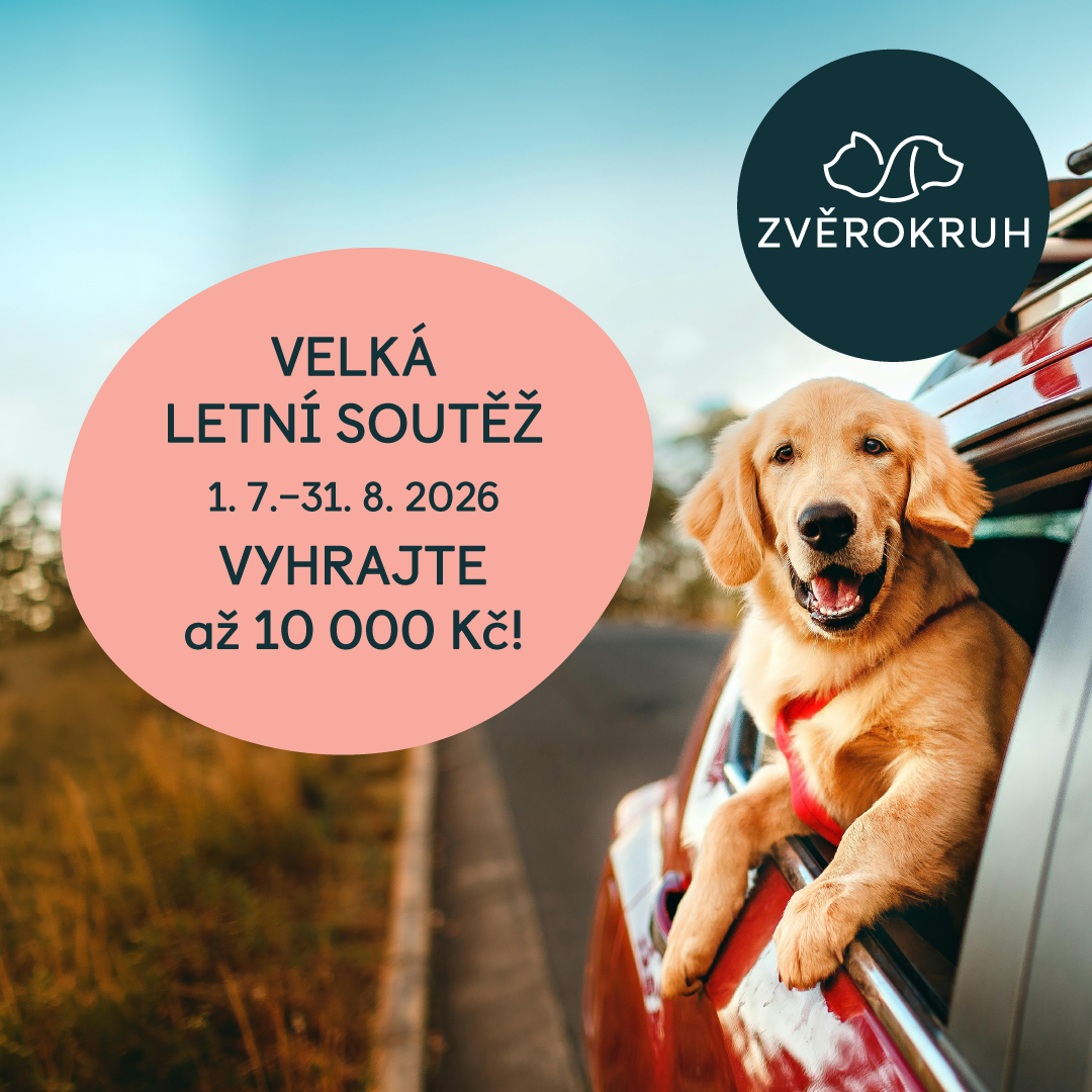 Velká letní soutěž