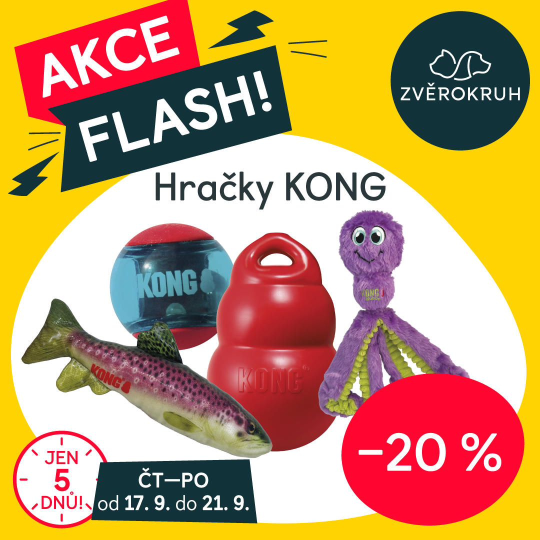 Blesková SLEVA 20 % na hračky KONG!