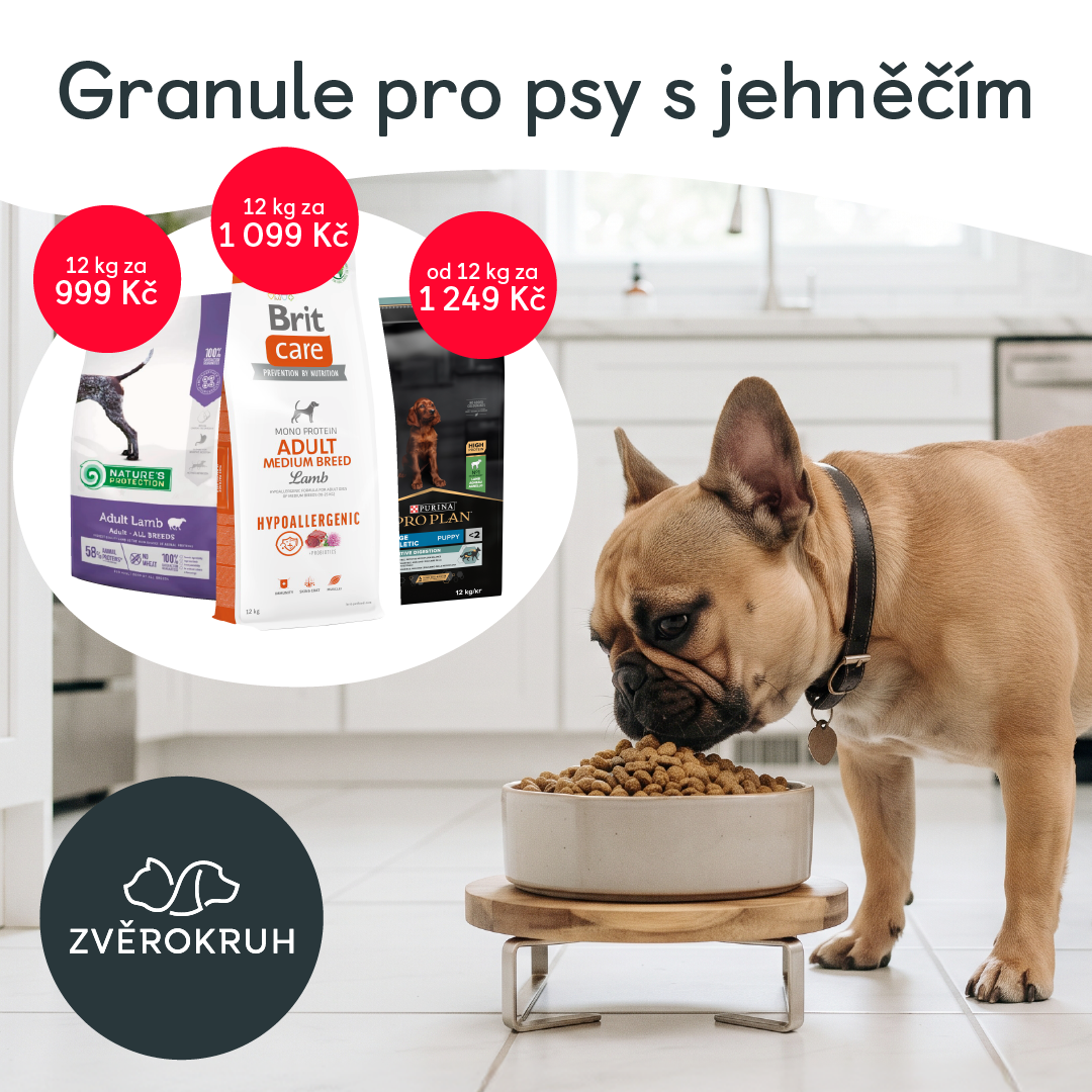 Říjnová akční nadílka ve Zvěrokruhu je tady!