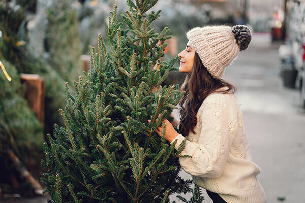Prodej vánočních stromků OAZA Kladno